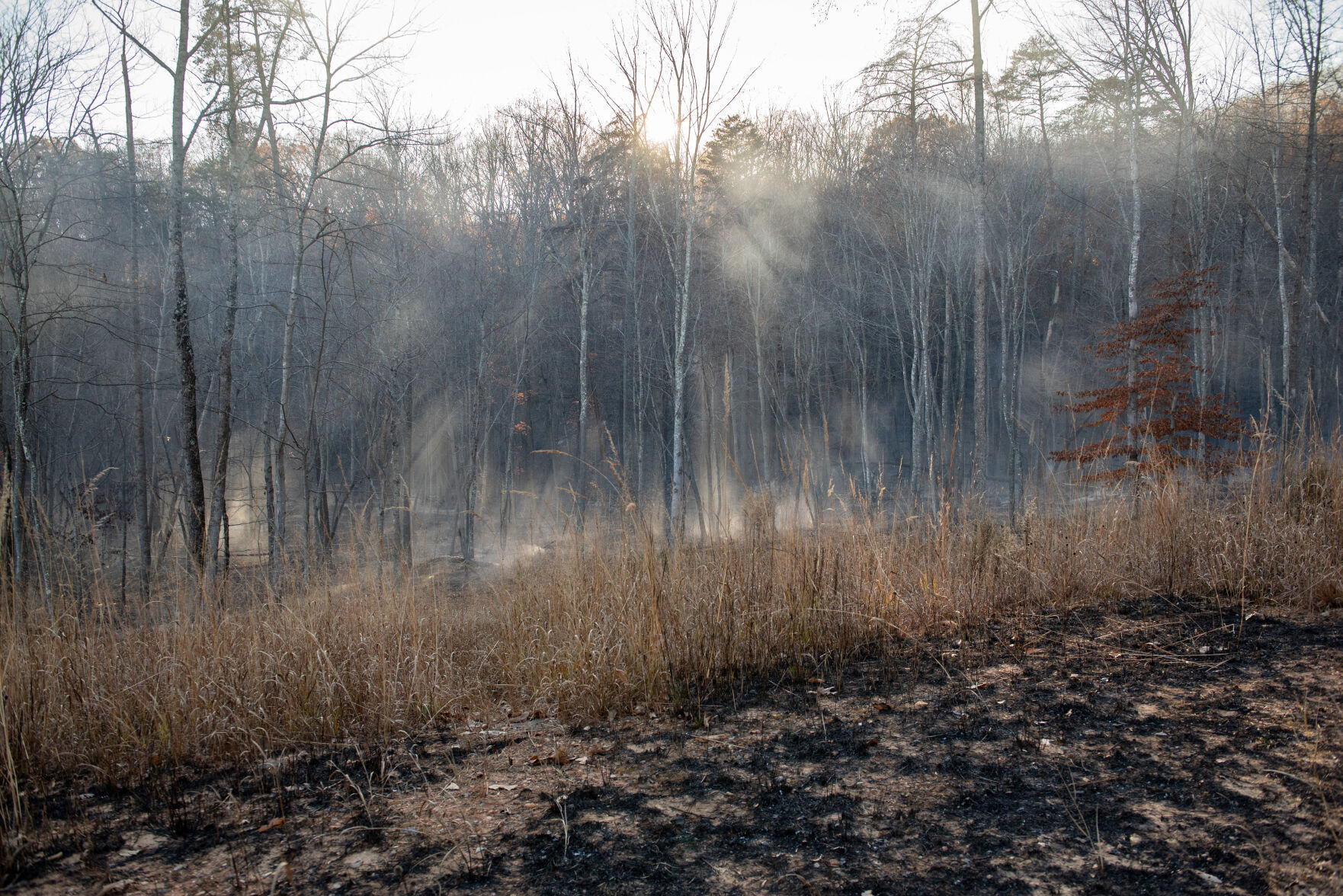Pilot Mountain Fire Damage